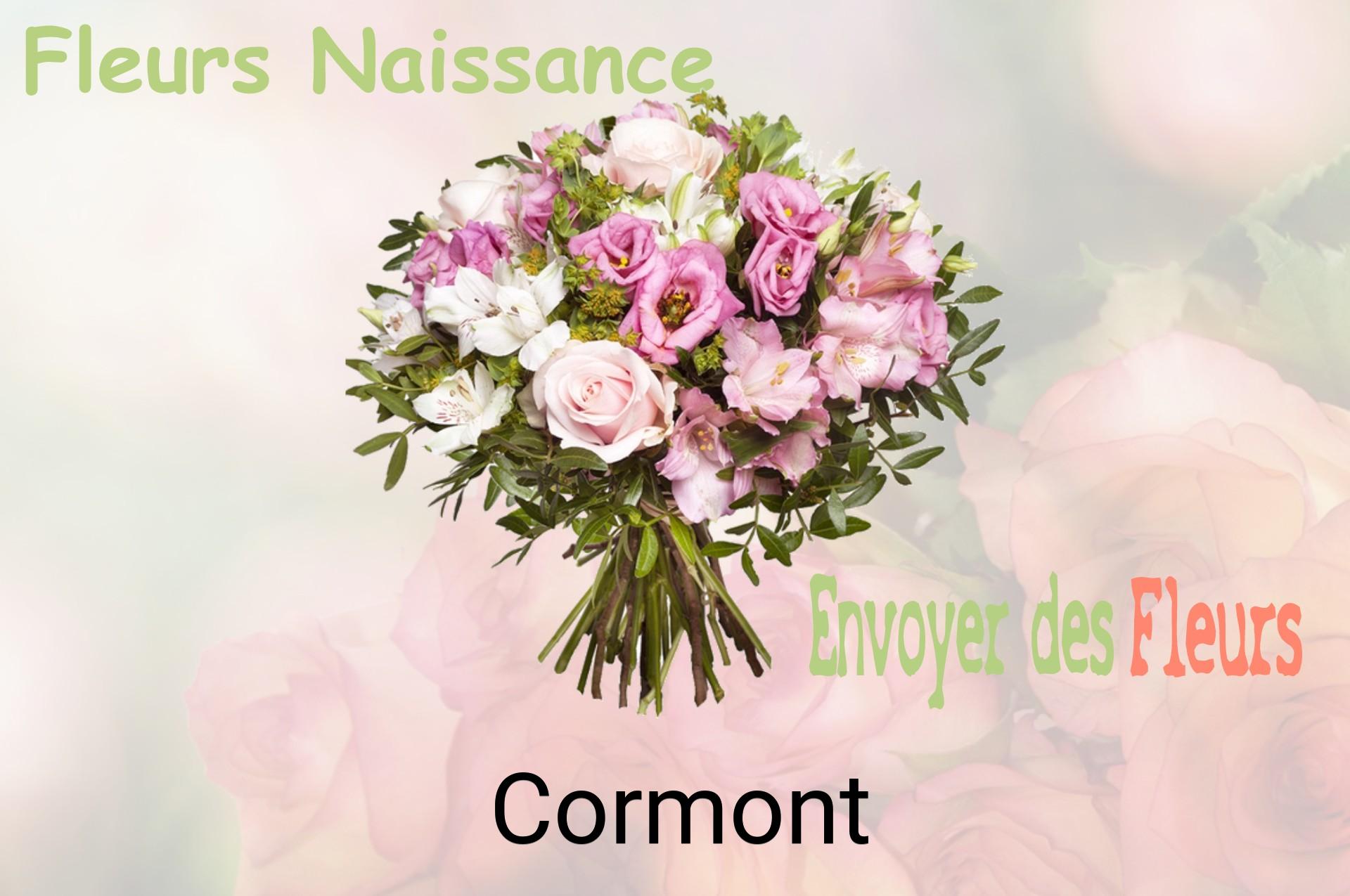 Bouquet de fleurs de naissance livré à Cormont